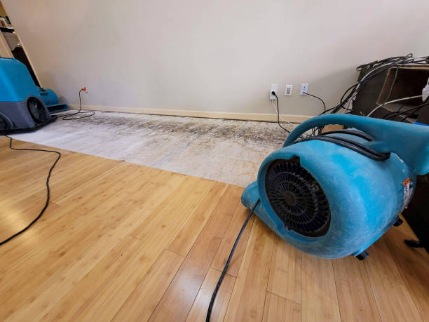 Professional Structural Drying technician working in Eustis, ME